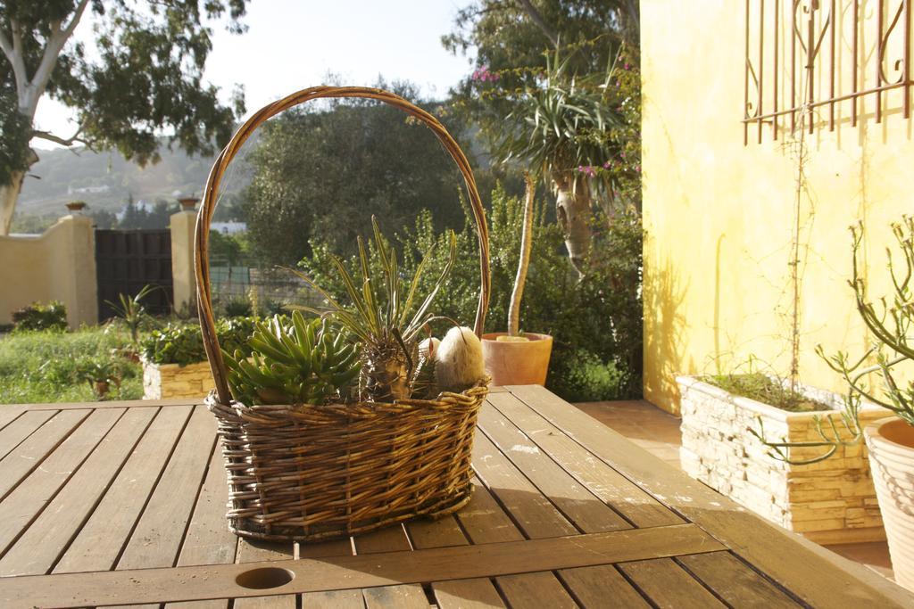 Apartament El Vuelo De La Libelula Barbate Pokój zdjęcie