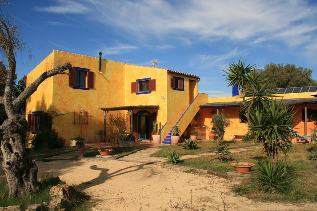 Apartament El Vuelo De La Libelula Barbate Zewnętrze zdjęcie